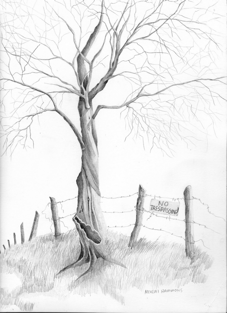 Pencil Drawing Tree Easy Pencil Drawings Of Trees Wallpaper - Easy Pencil Drawings Of Tree - HD Wallpaper 