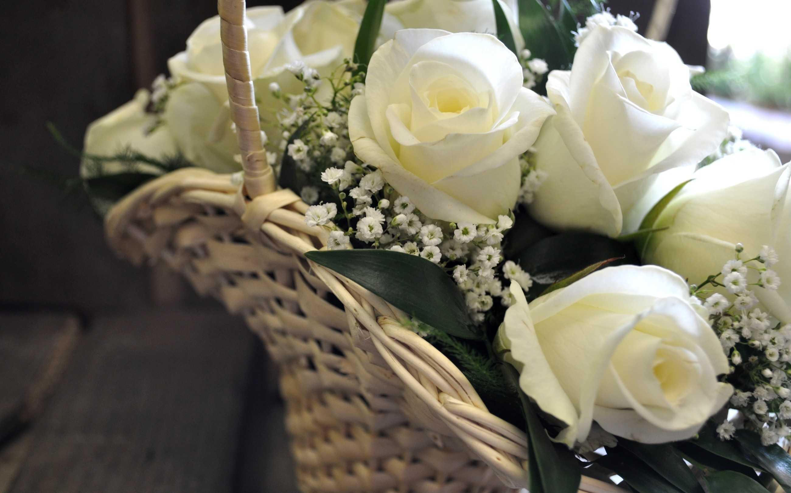 White Rose Wallpaper For Desktop White Rose Wallpaper - White Roses Desktop Background - 2600x1623 Wallpaper White Rose Wallpaper For Desktop White Rose Wallpaper - White Roses Desktop Background - 2600x1623 Wallpaper