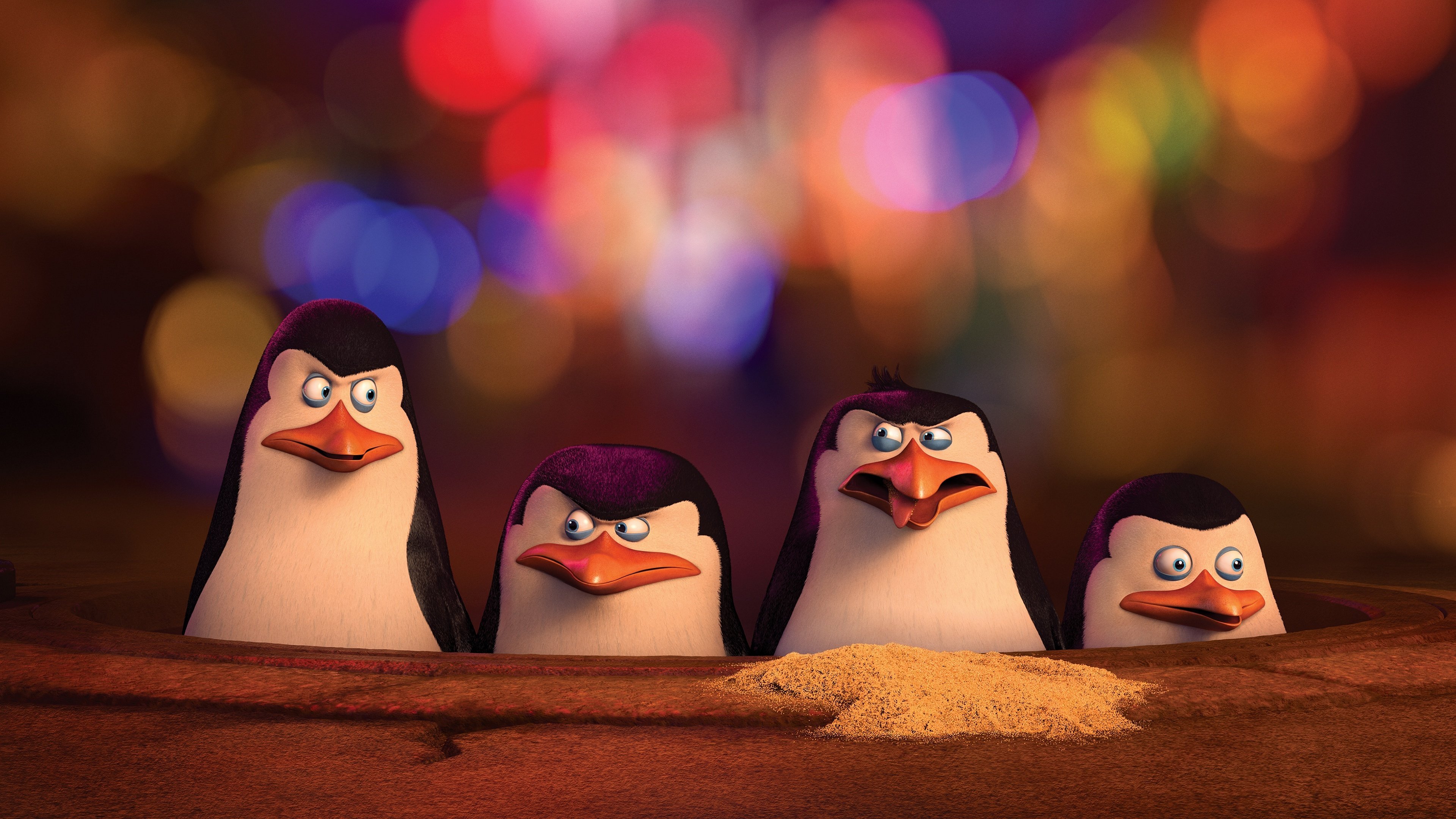 Madagascar Penguins - HD Wallpaper 