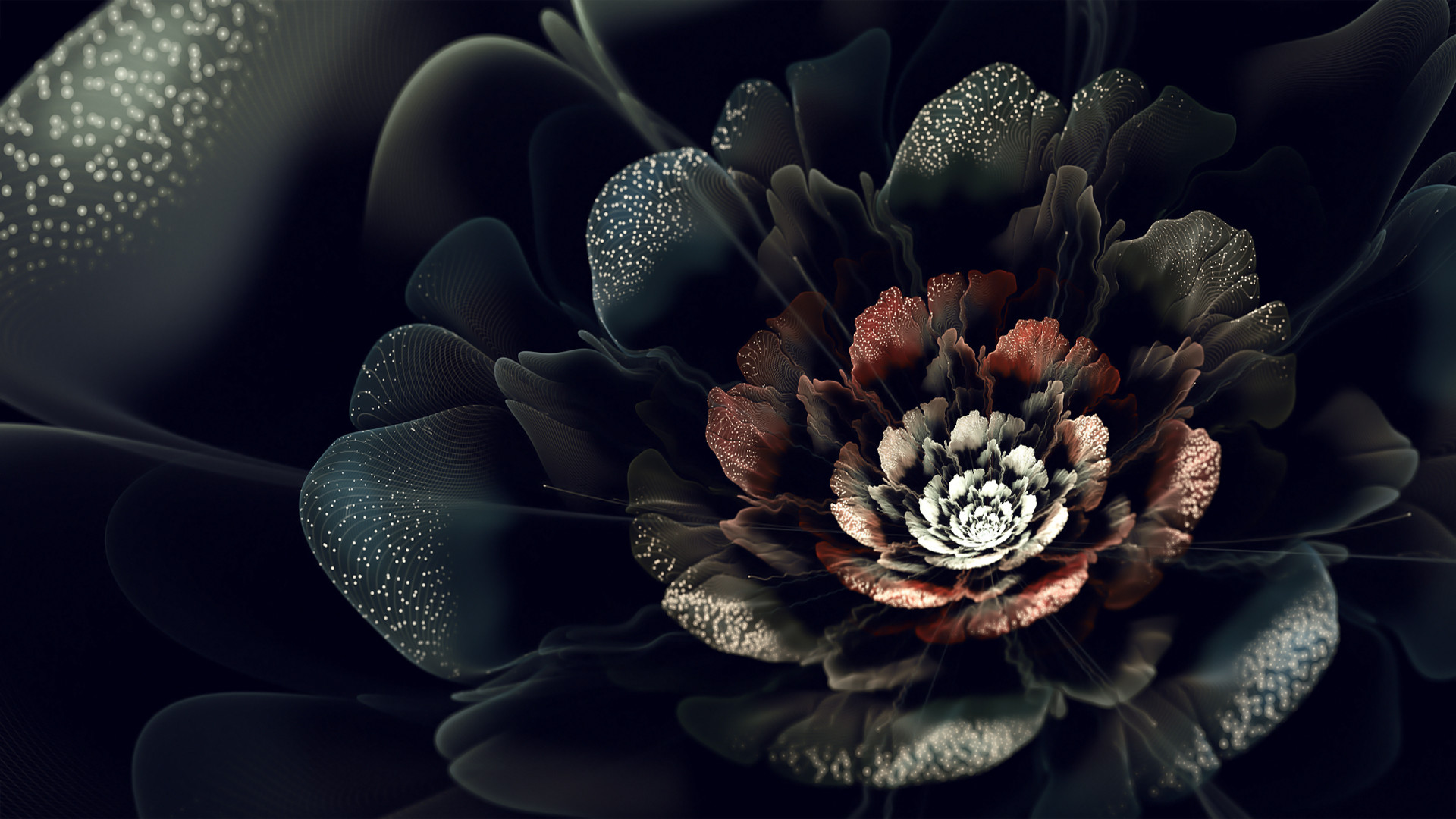 Black Flower Desktop Backgrounds - HD Wallpaper 