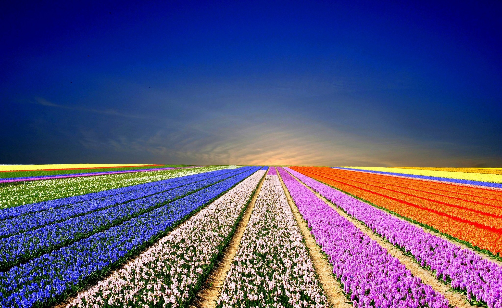 Amazing Desktop Wallpapers For Widescreen Quality Desktop - 4k Images Full Screen - 2048x1256 Wallpaper Amazing Desktop Wallpapers For Widescreen Quality Desktop - 4k Images Full Screen - 2048x1256 Wallpaper