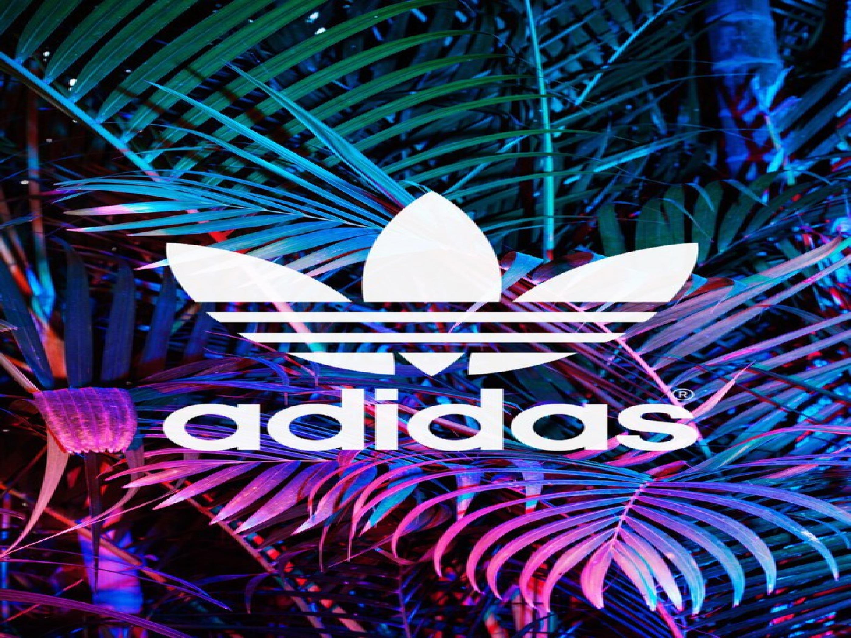 Adidas Wallpaper - HD Wallpaper 