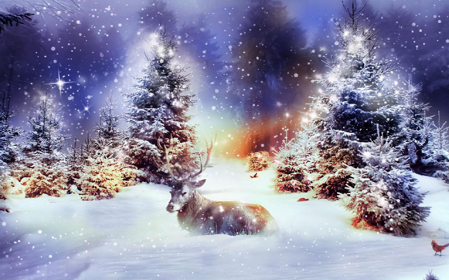 Winter Christmas Wallpaper Hd Resolution Is Cool Wallpapers - Winter Pretty Christmas Backgrounds - HD Wallpaper 