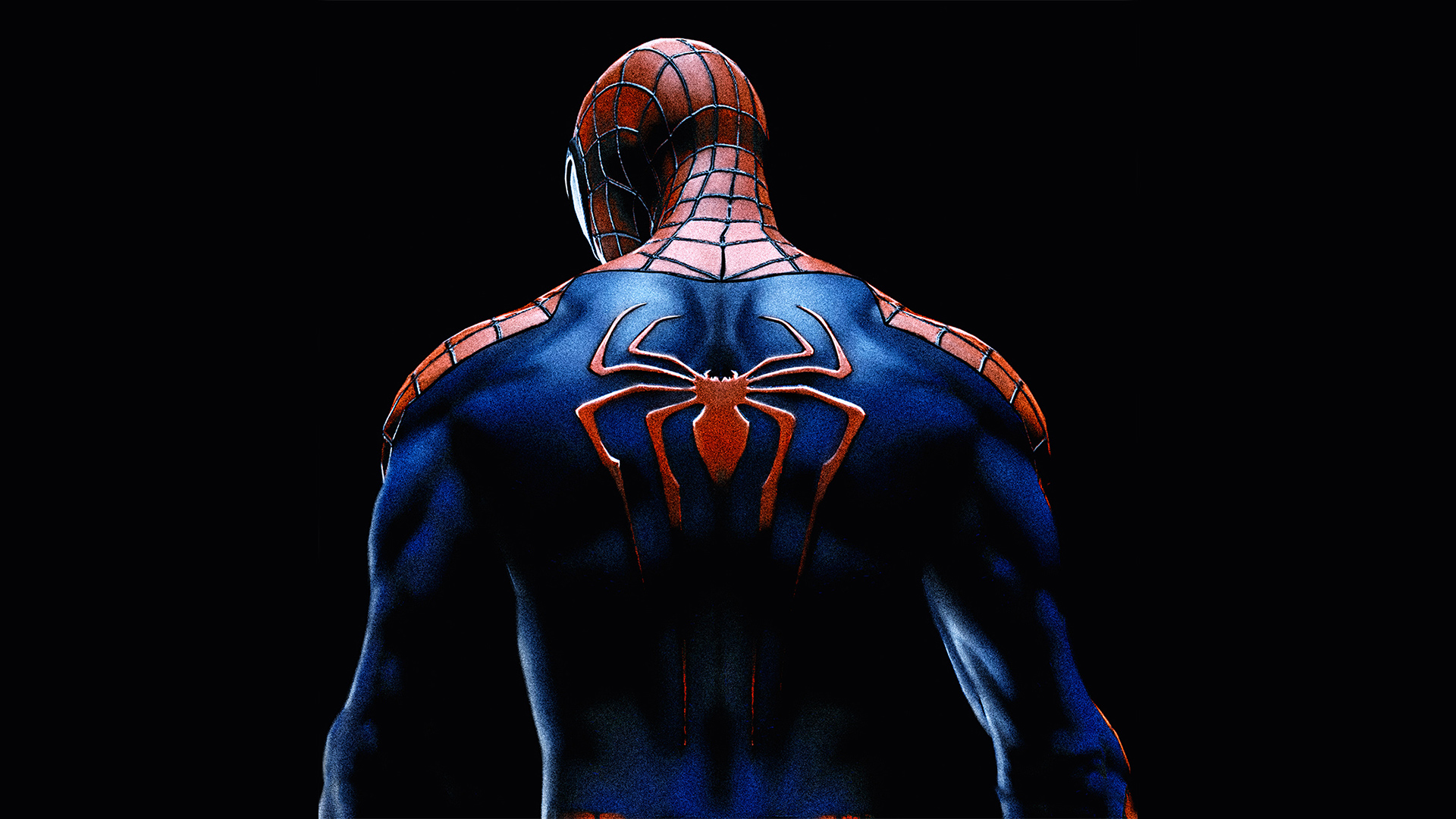 Back Of Spider Man - HD Wallpaper 