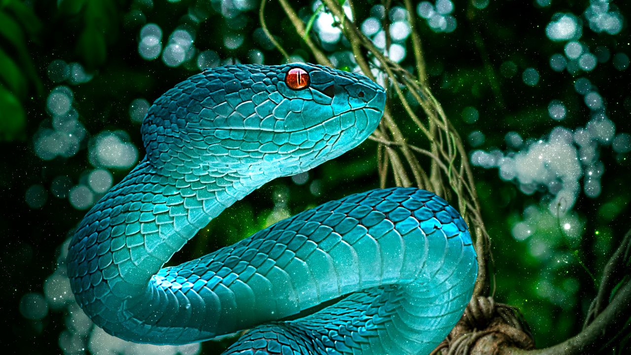 Snake Wallpaper 4k - HD Wallpaper 
