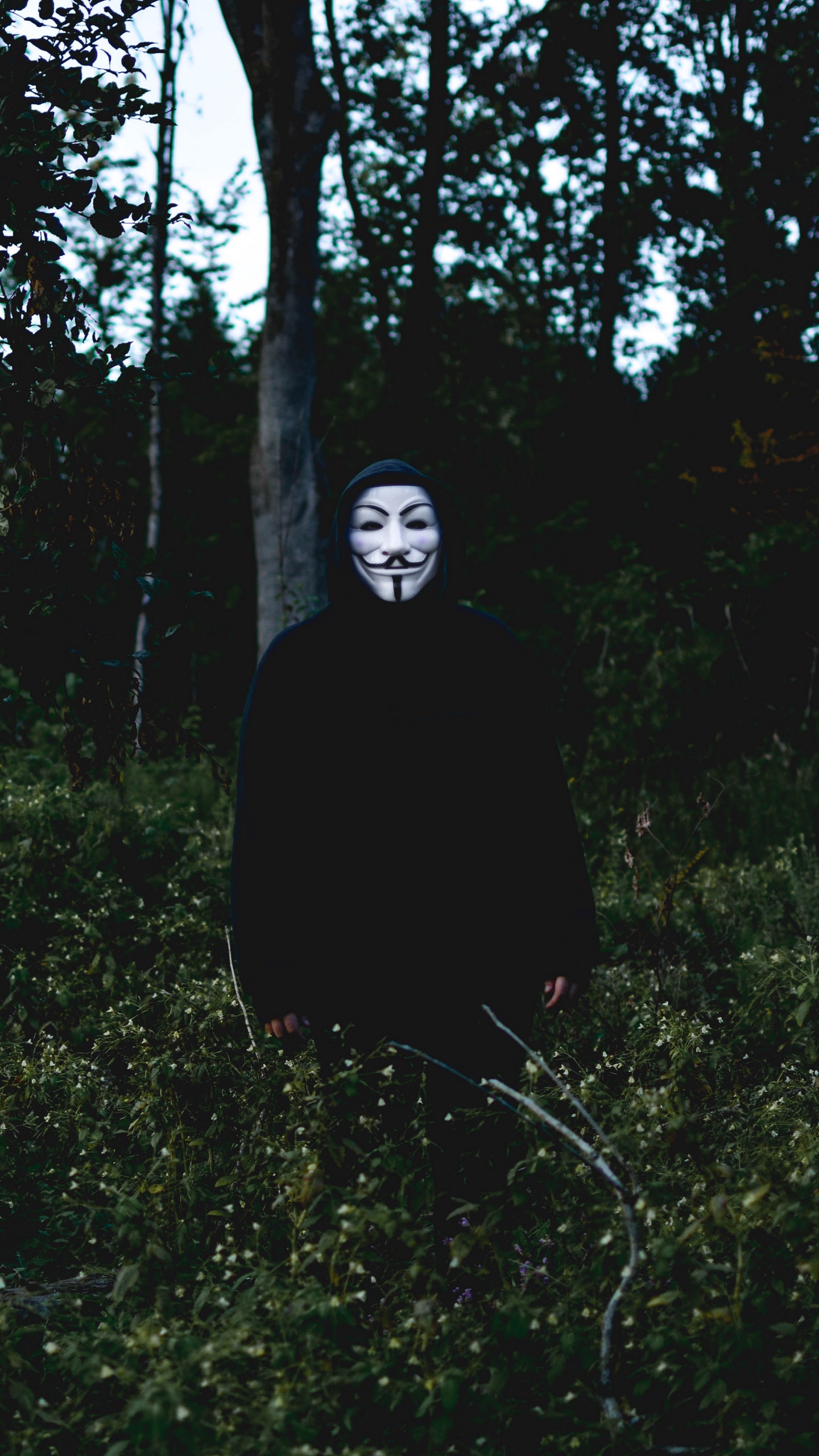 Wallpaper Mask, Man, Forest, Anonymous - Anonymous Mask Man - HD Wallpaper 