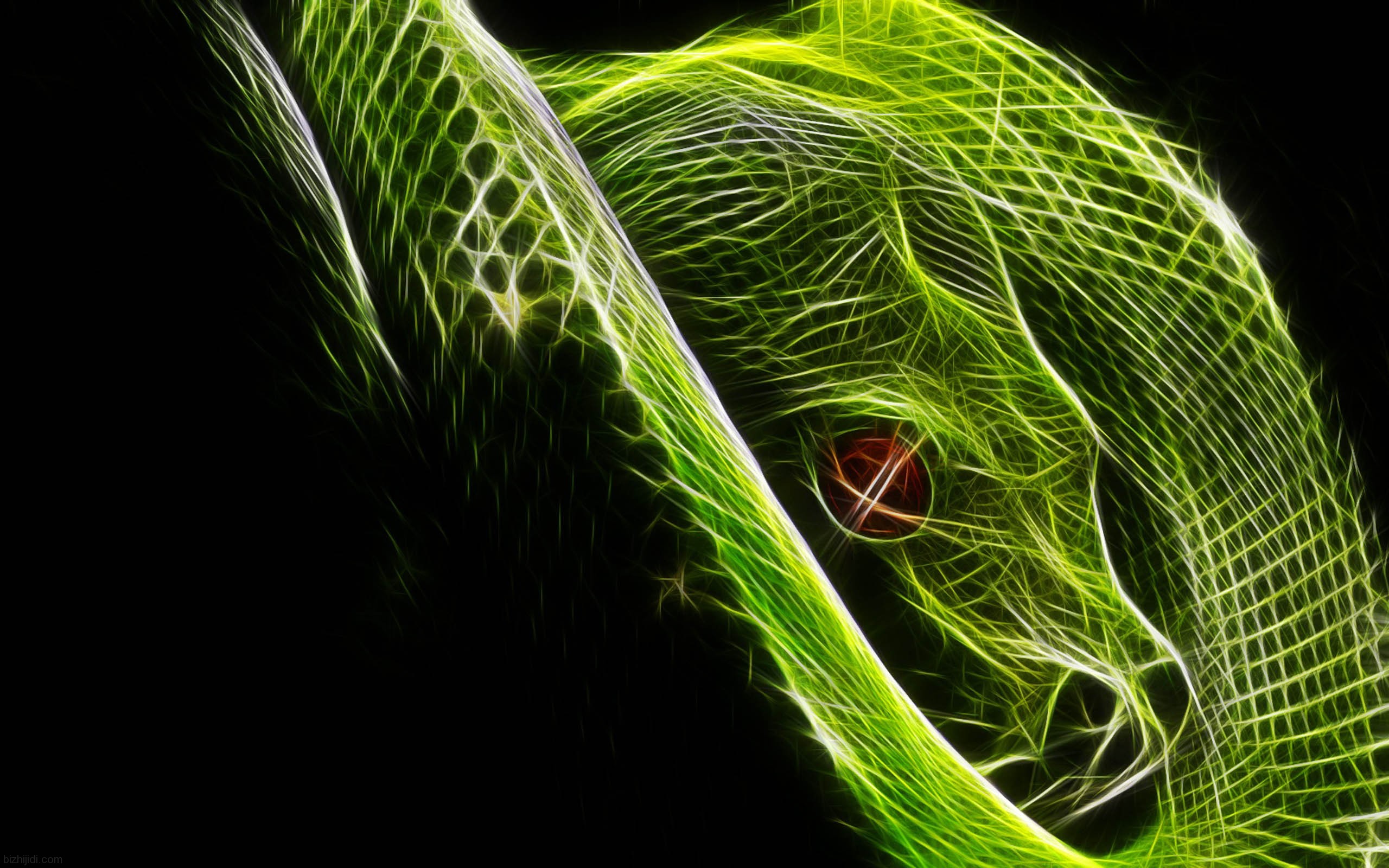 Snake - Cool Snake Backgrounds - 2560x1600 Wallpaper Snake - Cool Snake Backgrounds - 2560x1600 Wallpaper