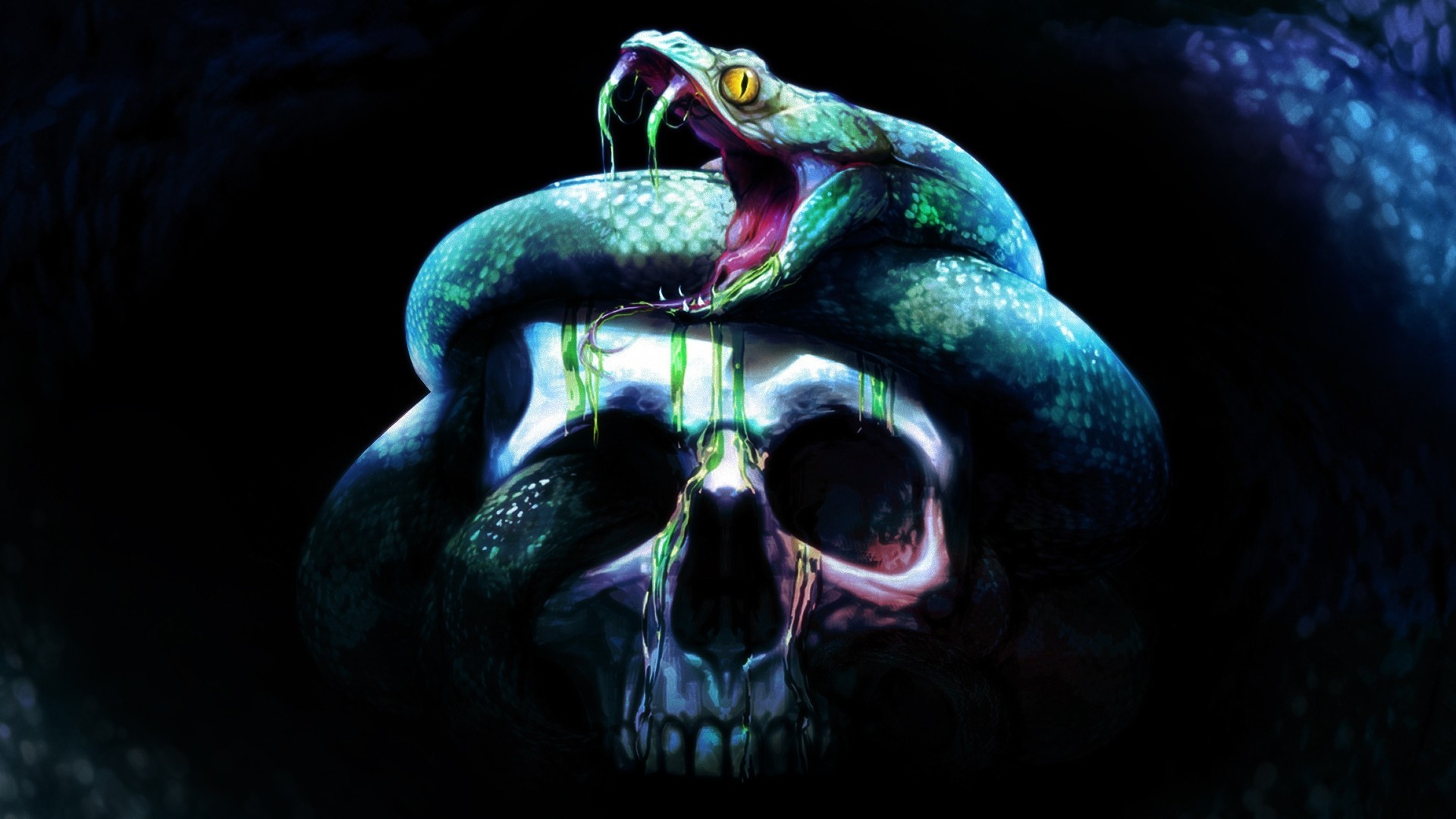 Snake In A Skull Background - HD Wallpaper 