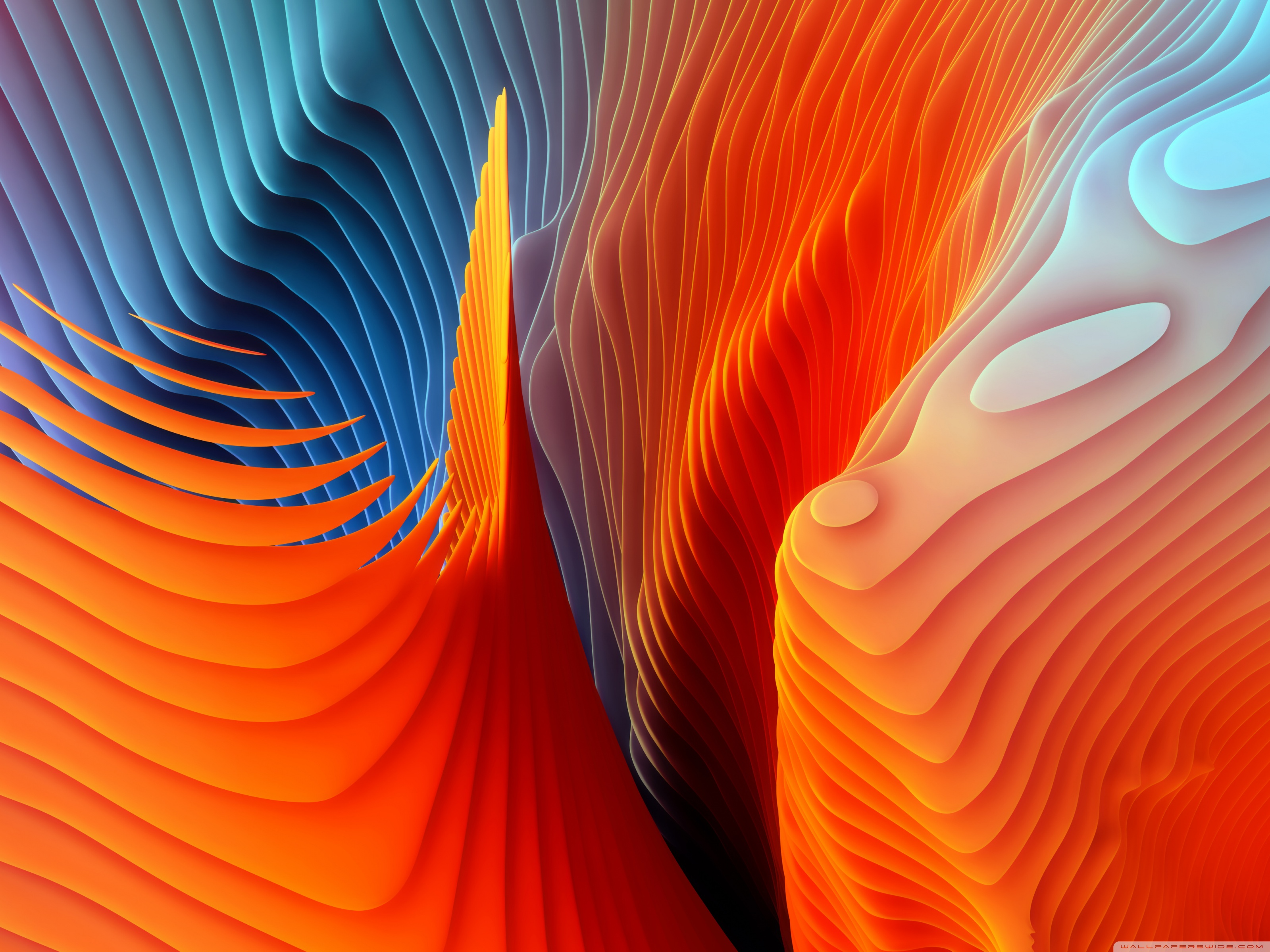 Apple Abstract - HD Wallpaper 