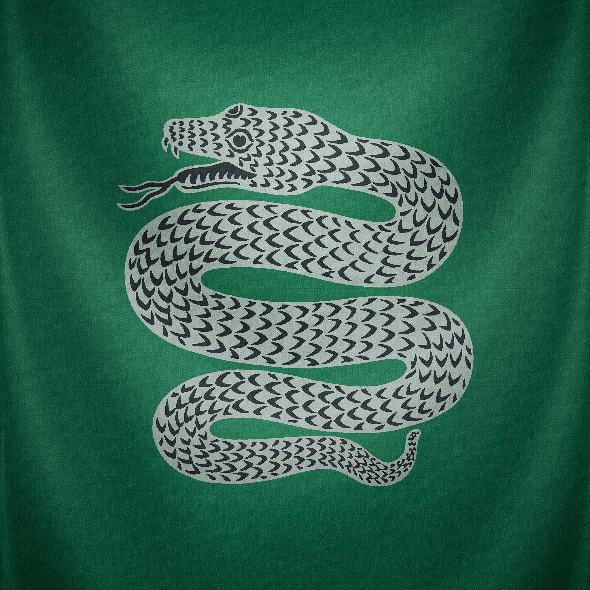 Slytherin Snake Wallpaper - Harry Potter Iphone - HD Wallpaper 