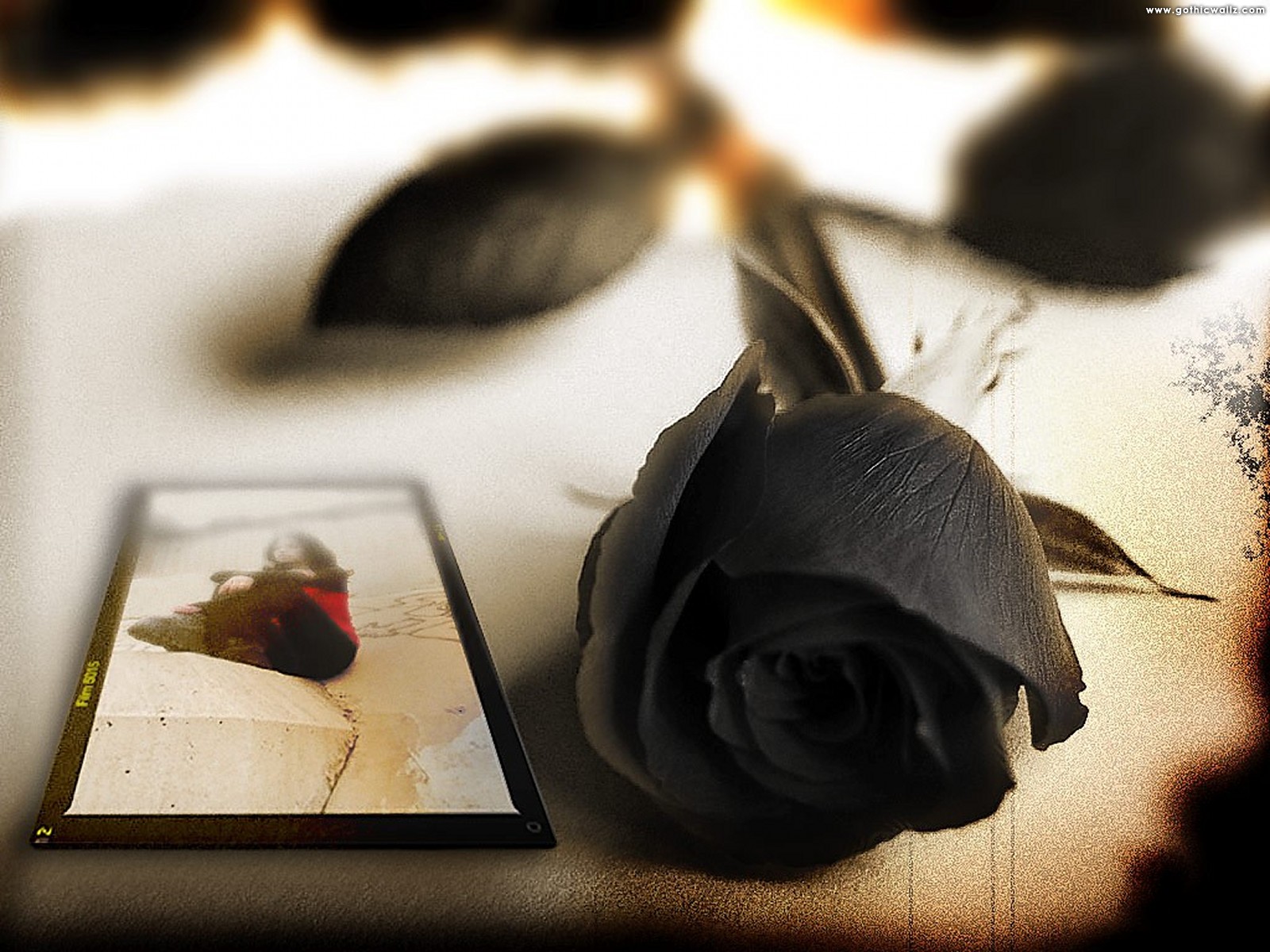 Black Rose Postcard - Black Beautiful Rose Wallpaper Hd - HD Wallpaper 