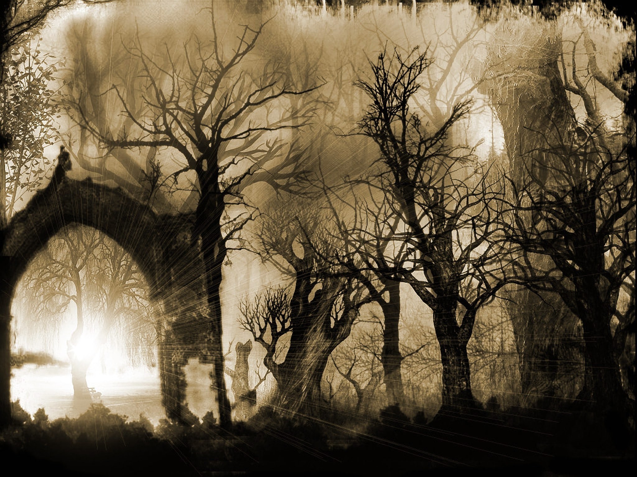 Sleepy Hollow Dark Horror Gothic Wallpaper At Dark - Hollow Background - HD Wallpaper 