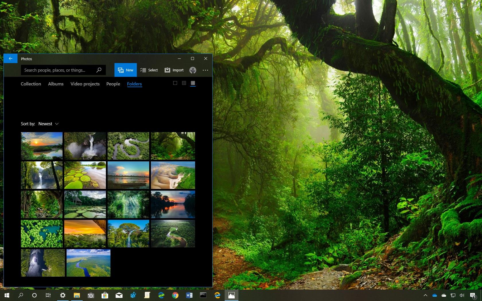 Amazon Rainforest Theme For Windows - Ppt Background For Biodiversity - HD Wallpaper 