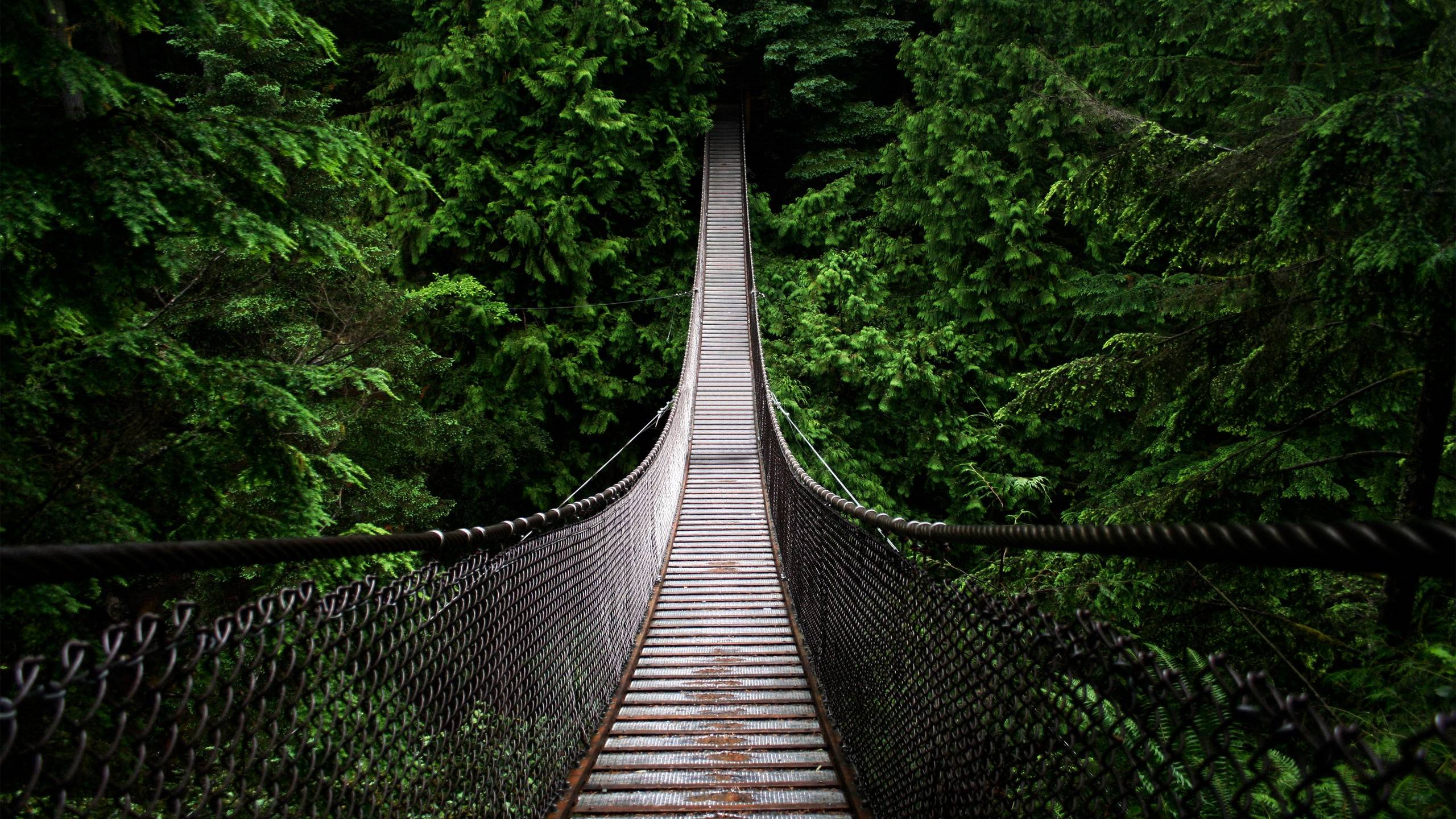 Free Wallpapers Wallpaper Cave - Lynn Canyon Suspension Bridge - HD Wallpaper 
