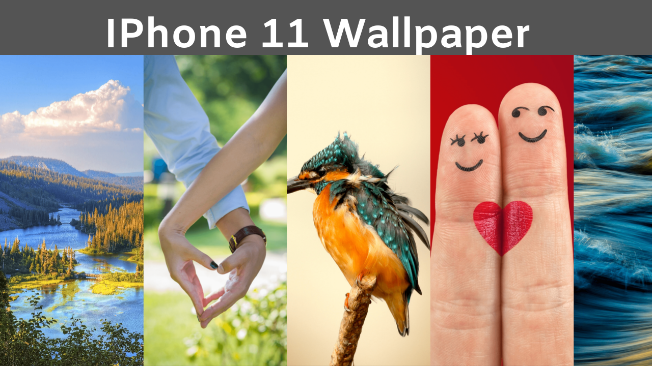 Full Hd Wallpaper Download - HD Wallpaper 