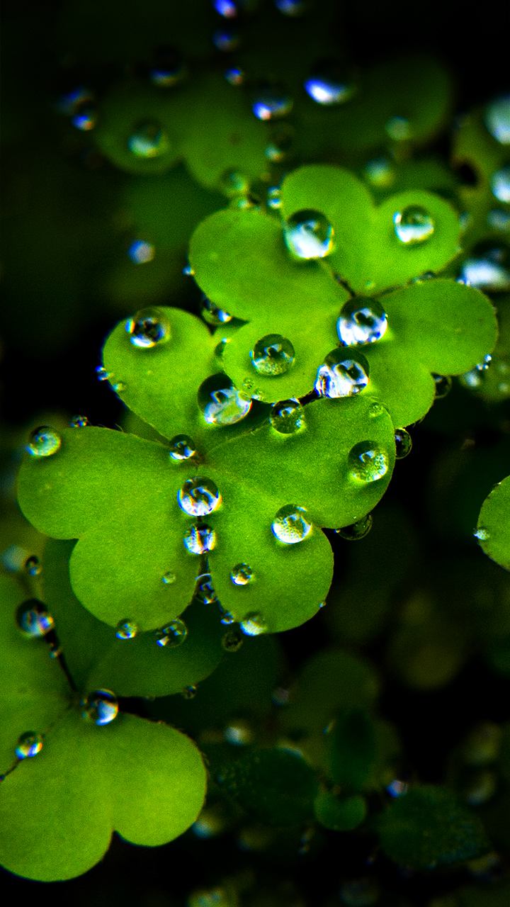 Best Android Wallpapers Hd On Desktop Backgrounds With - Super Wallpapers For Mobile Phones - 720x1280 Wallpaper Best Android Wallpapers Hd On Desktop Backgrounds With - Super Wallpapers For Mobile Phones - 720x1280 Wallpaper