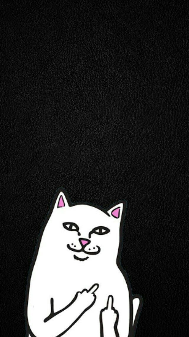 Rip N Dip - HD Wallpaper 