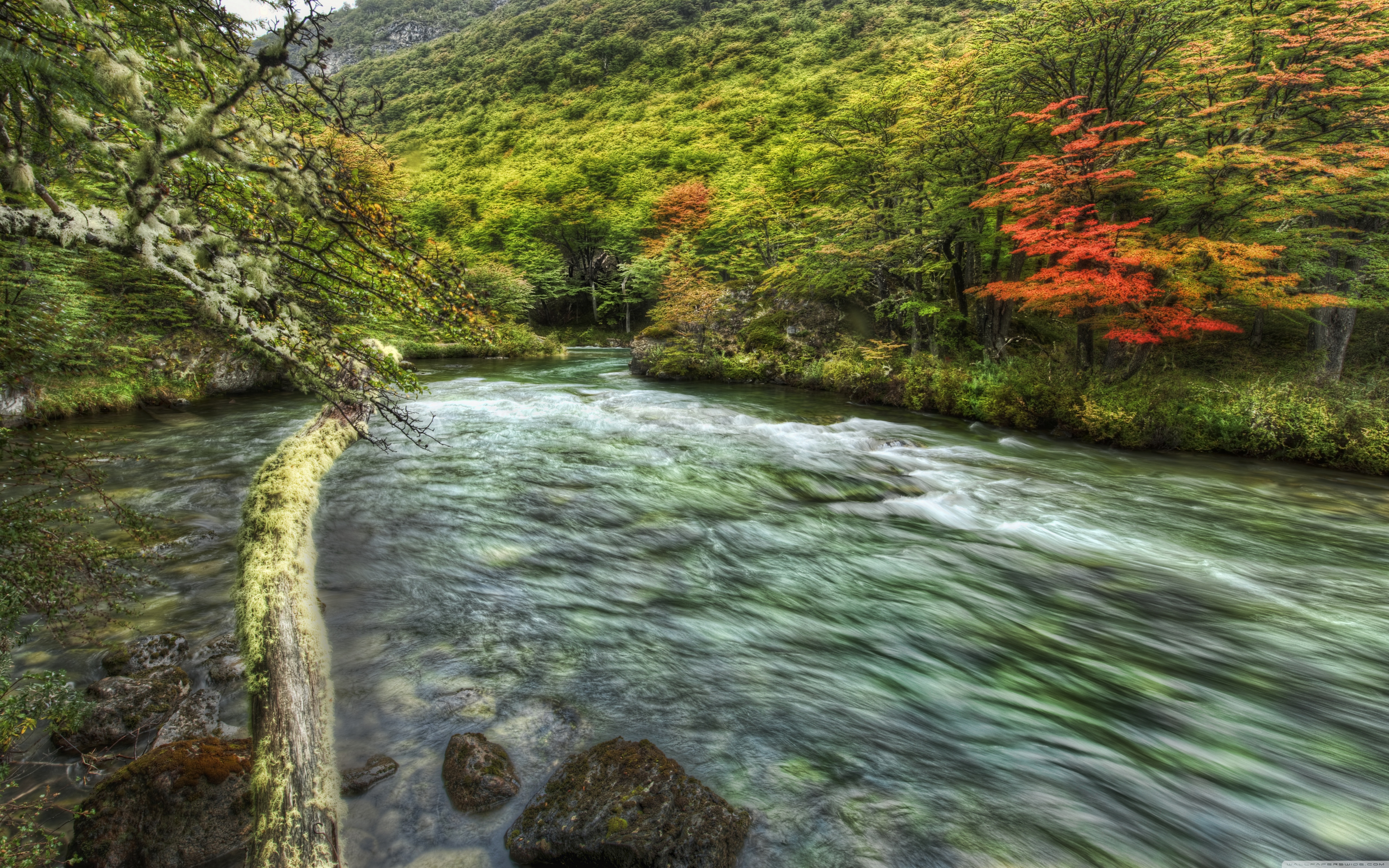 Flowing River - HD Wallpaper 