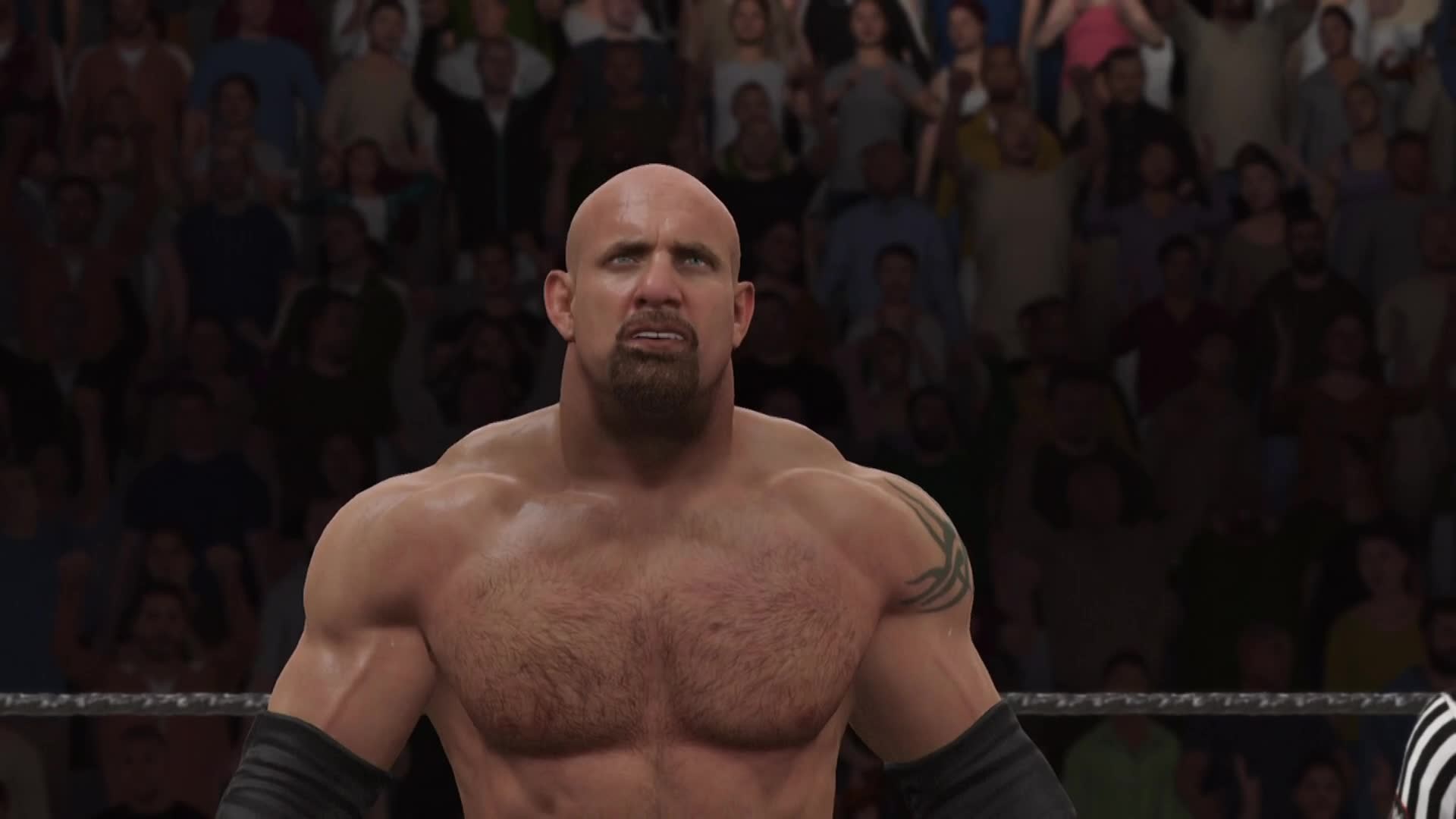 Who Wins When Goldberg And Brock Battle In Wwe 2k17 - Wwe 2k18 Gold Berg - HD Wallpaper 