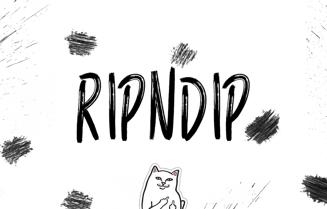 Photo Wallpaper White, Cat, Squirt, Cats, White Background, - Computer Ripndip Background - HD Wallpaper 