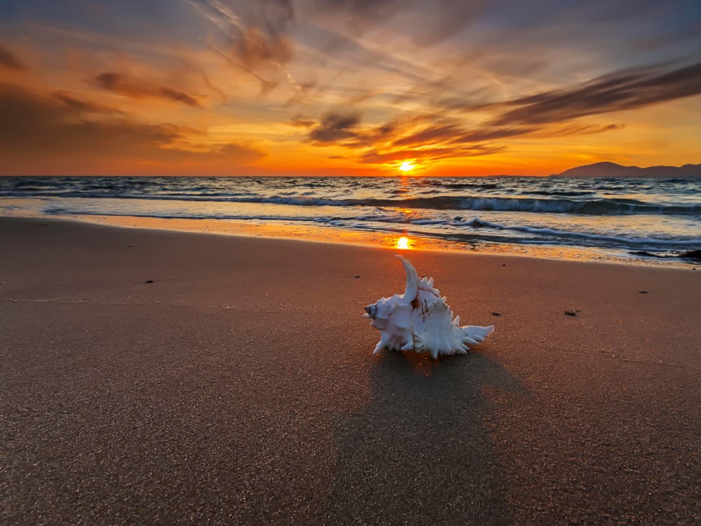 Beach Sunset Wallpaper Hd - Hd Desktop Backgrounds Beach Sunset - HD Wallpaper 