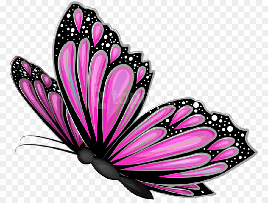 Pink Butterfly Transparent Background Png Butterfly - Pink Butterfly Transparent Background - HD Wallpaper 