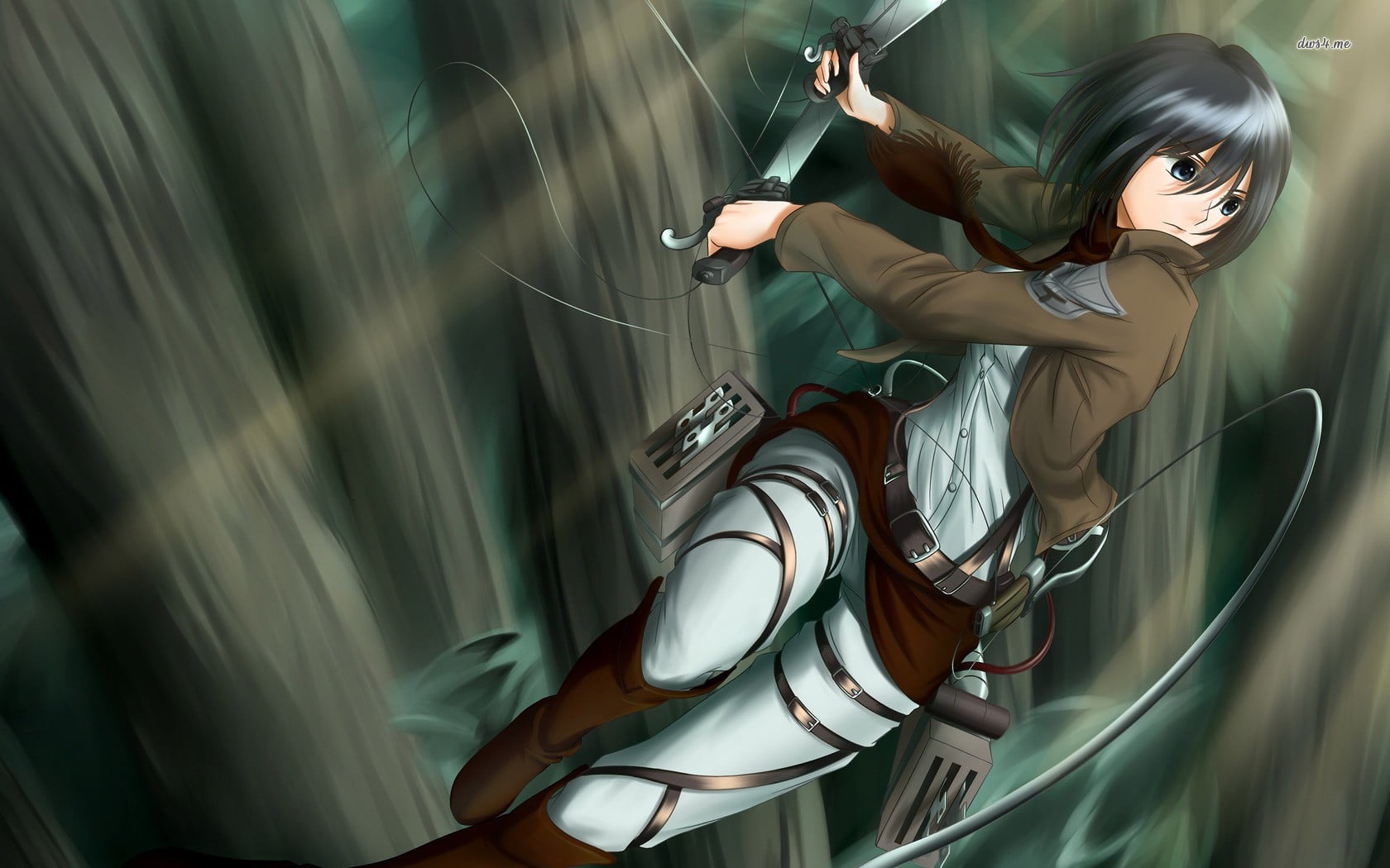 Attack On Titan Mikasa Wallpaper 1080p - HD Wallpaper 