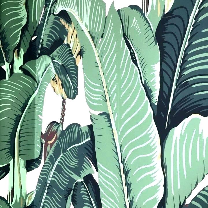 Beverly Hills Hotel Wallpaper Hills Wallpaper Hills - Ensete - HD Wallpaper 