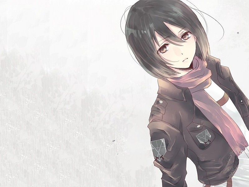 Mikasa Ackerman Attack On Titan Wallpapers - Attack On Titan Wallpaper Mikasa - HD Wallpaper 