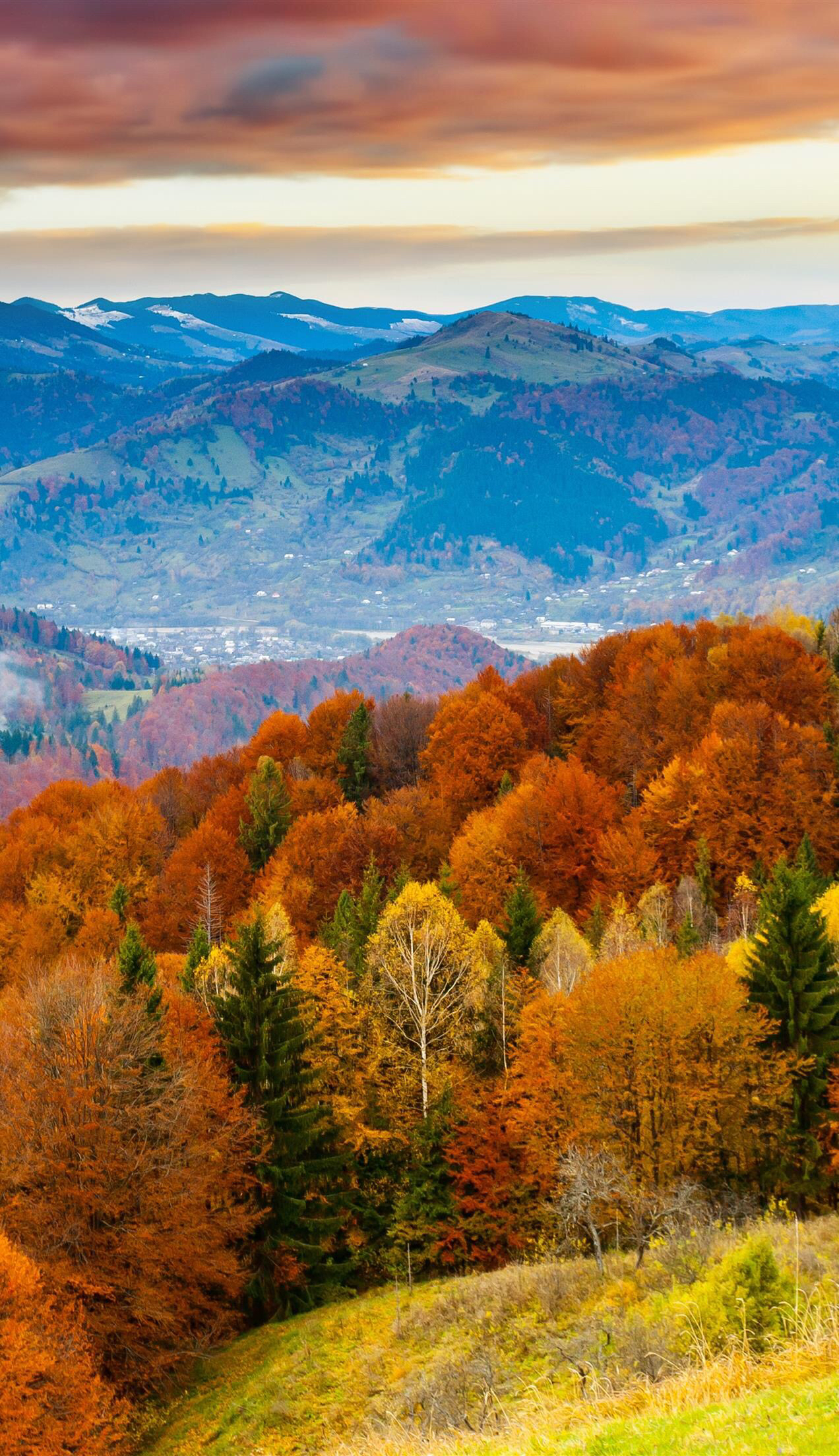 Iphone Fall Wallpaper - Iphone Wallpaper Fall - HD Wallpaper 