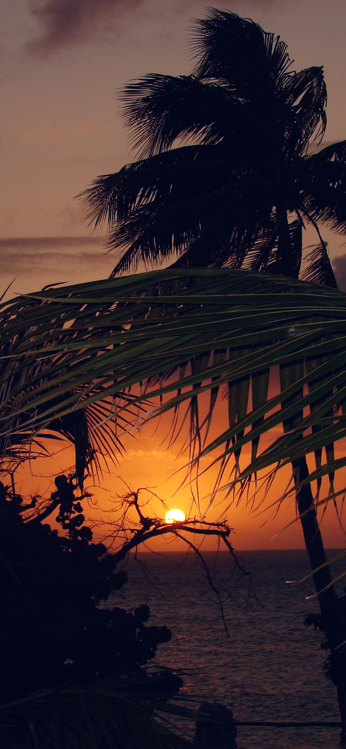 Holiday Iphone Wallpaper Hd - HD Wallpaper 