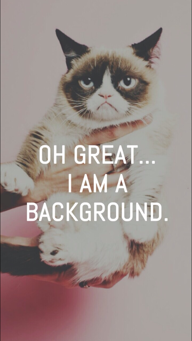Backgrounds, Wallpapers, Grumpy Cat Background - Grumpy Cat Wallpaper Iphone - HD Wallpaper 