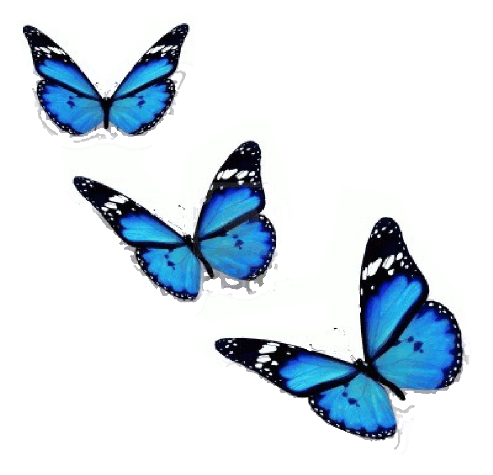 Thumb Image - Mariposa Azul Volando Gif - HD Wallpaper 