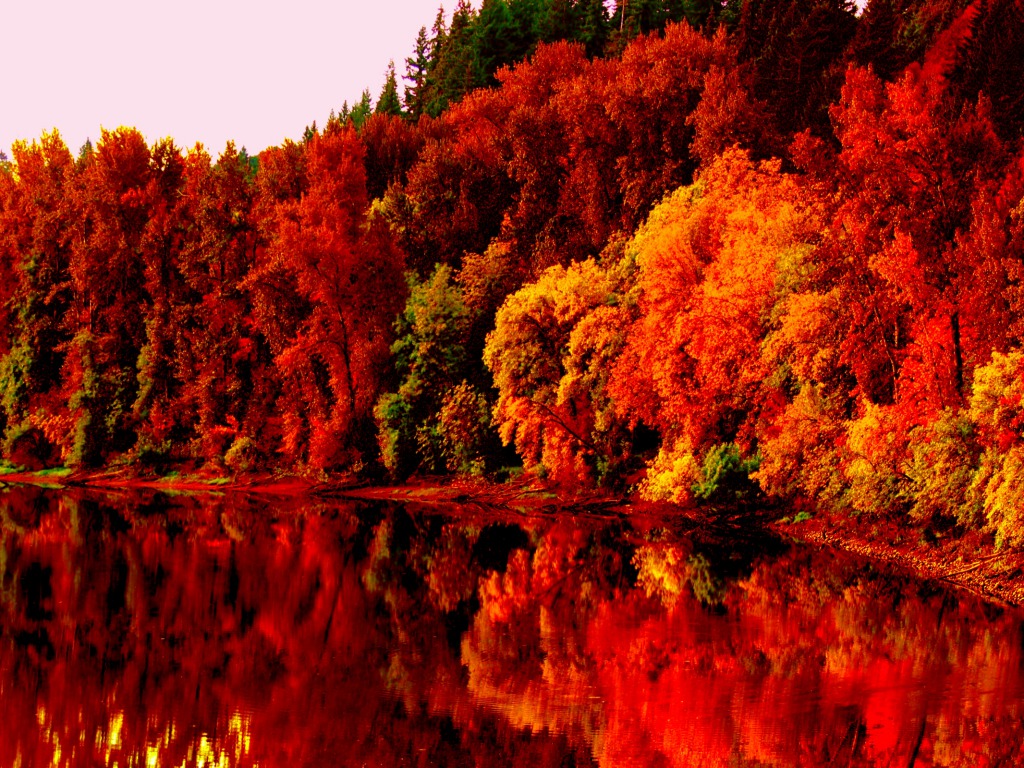 Autumn Nature Wallpapers Hd Pictures One Hd Wallpaper - Fall Desktop Backgrounds - HD Wallpaper 