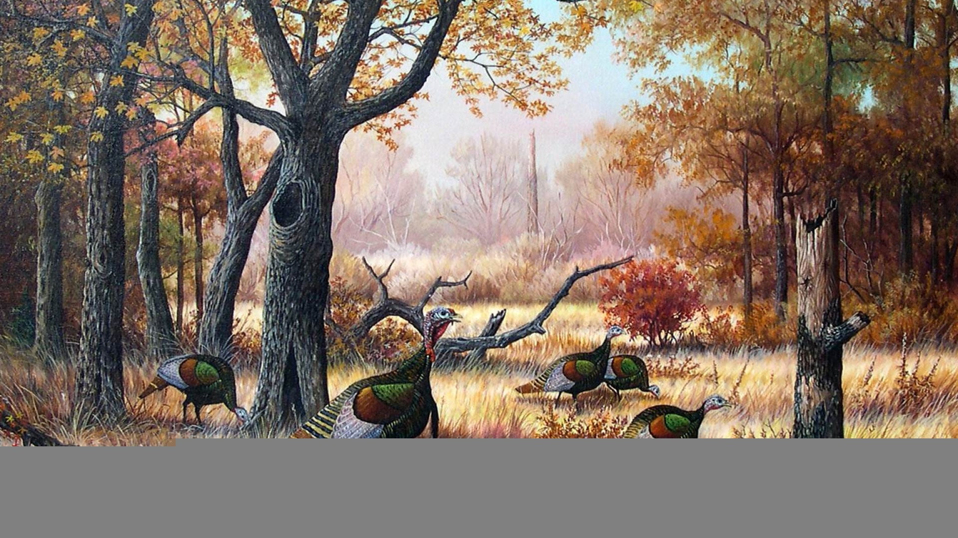 Thrasher, Turkey, Bird, Full, Screen, High, Resolution, - Painting - HD Wallpaper 