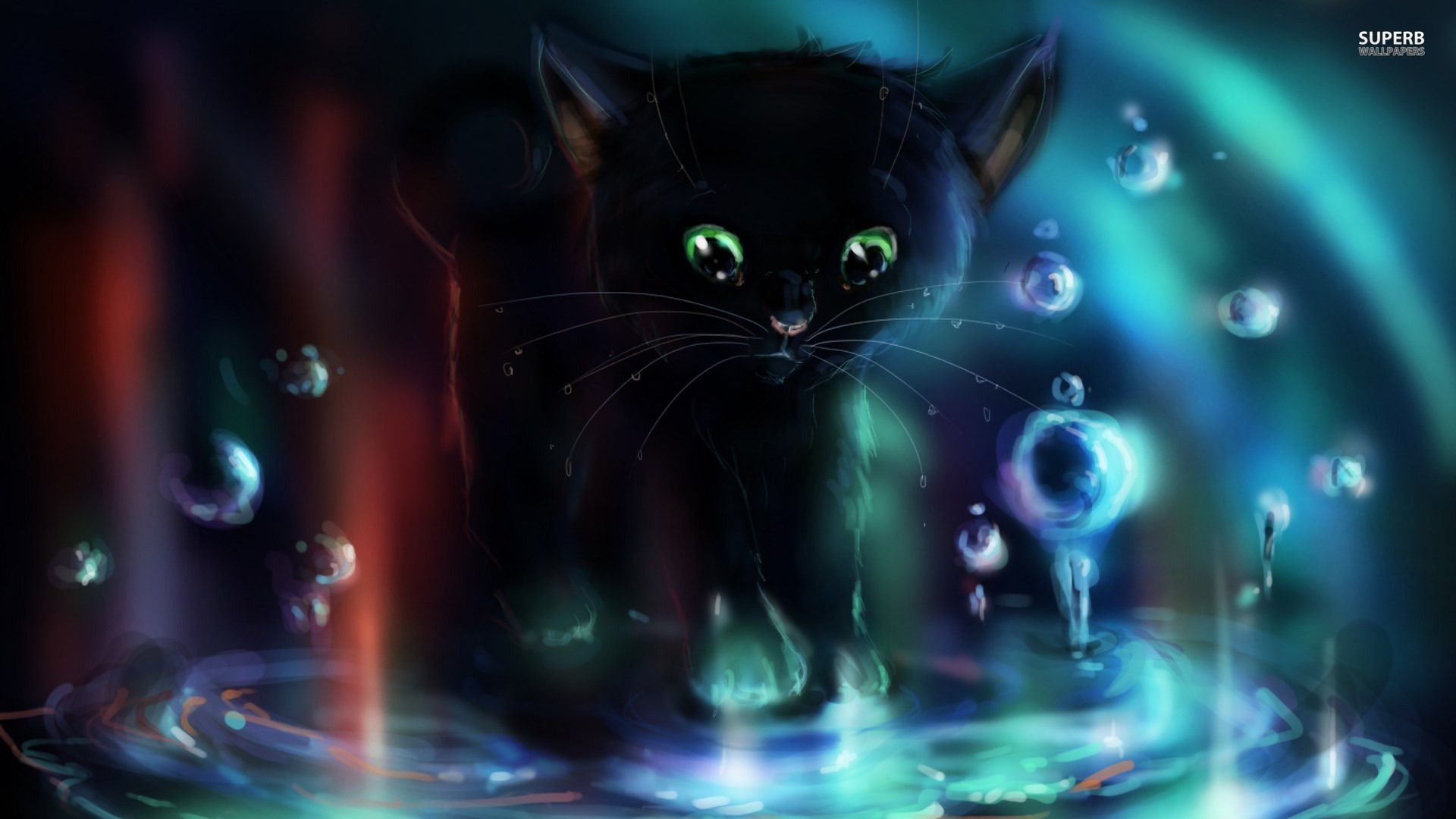 Black Kitten Wallpapers - Black Kitten Background - HD Wallpaper 