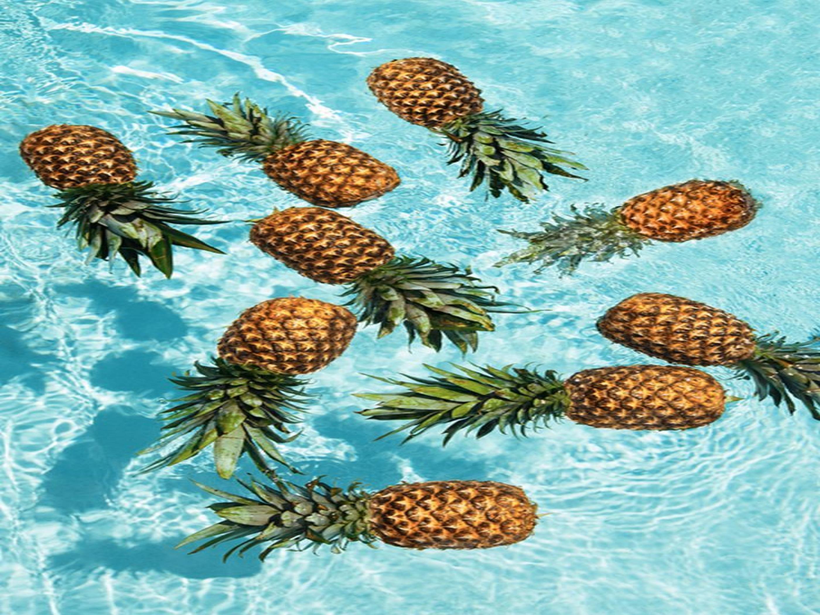 Summer Wallpaper Hd - HD Wallpaper 