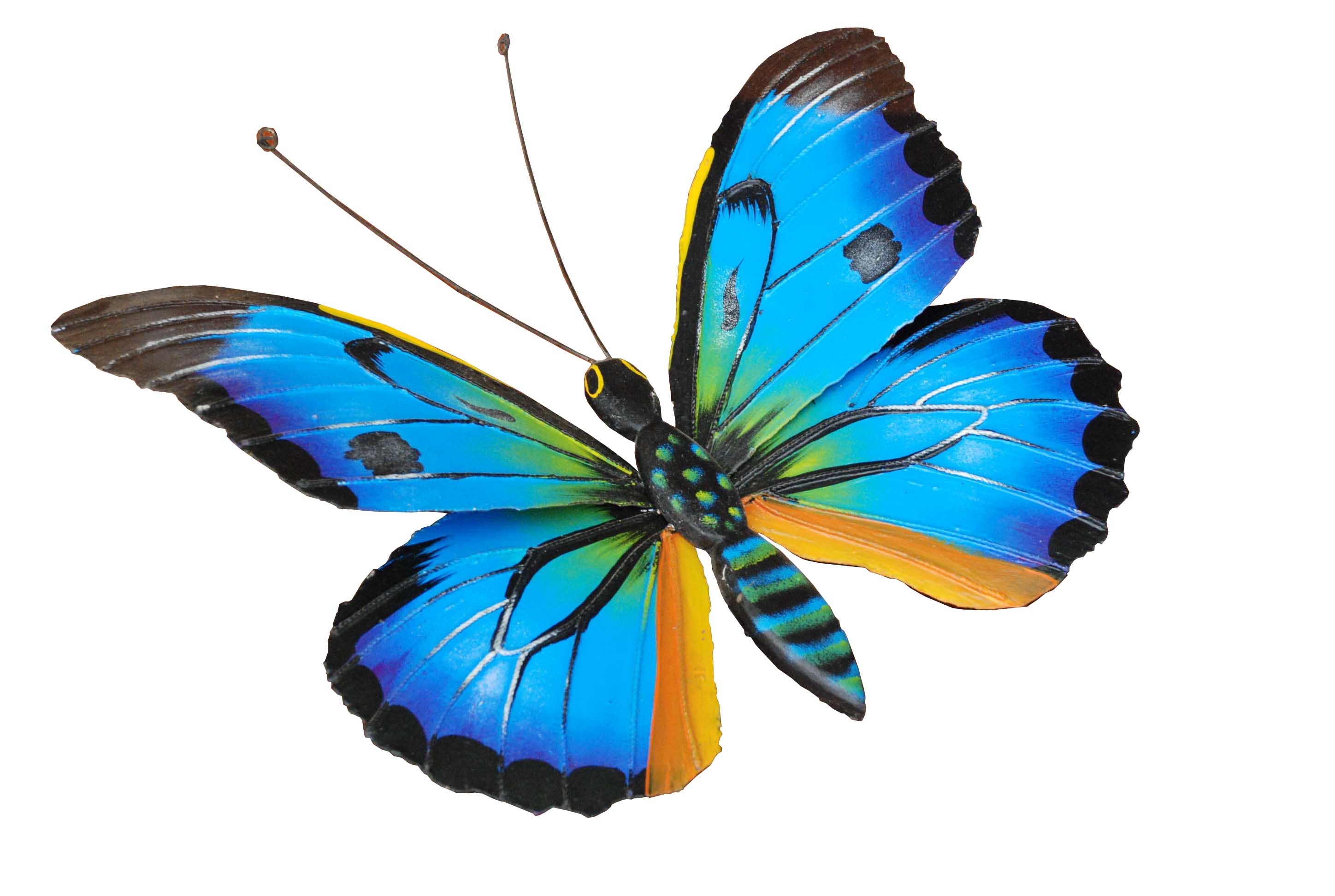 Mariposas - HD Wallpaper 