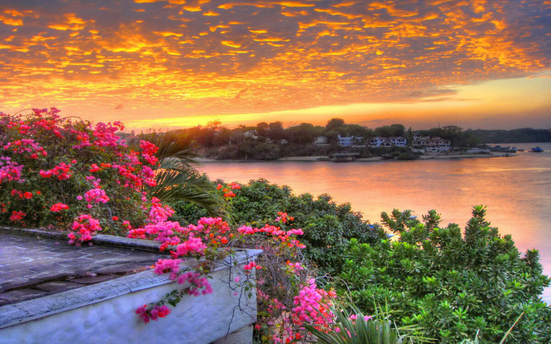 Sunrise Images In Village - HD Wallpaper 