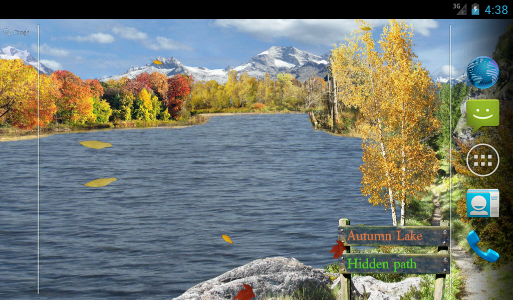 Larch - HD Wallpaper 