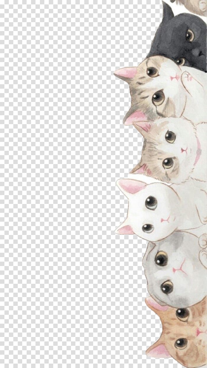 Cats , Cat Kitten Puppy Cuteness, Cute Cat Transparent - Sphynx Cat Wallpaper Iphone - HD Wallpaper 