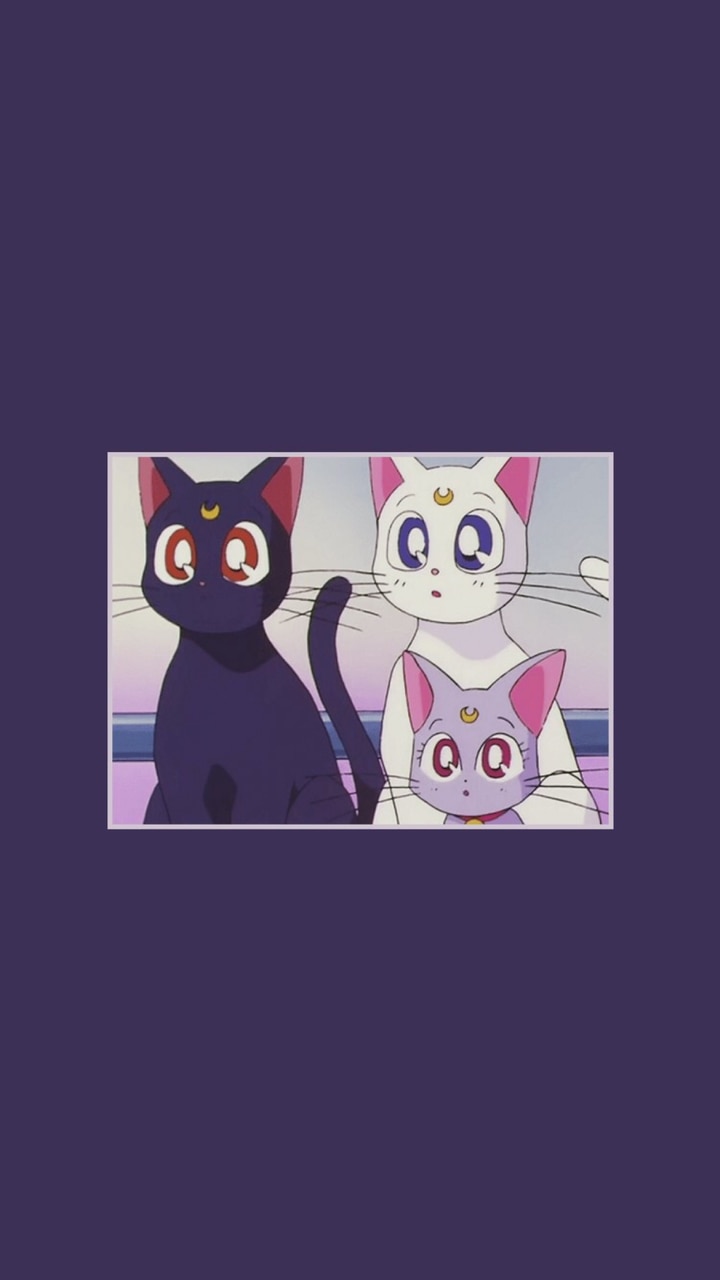 Cat, Wallpaper, And Purple Image - Luna Sailor Moon Kawaii - HD Wallpaper 