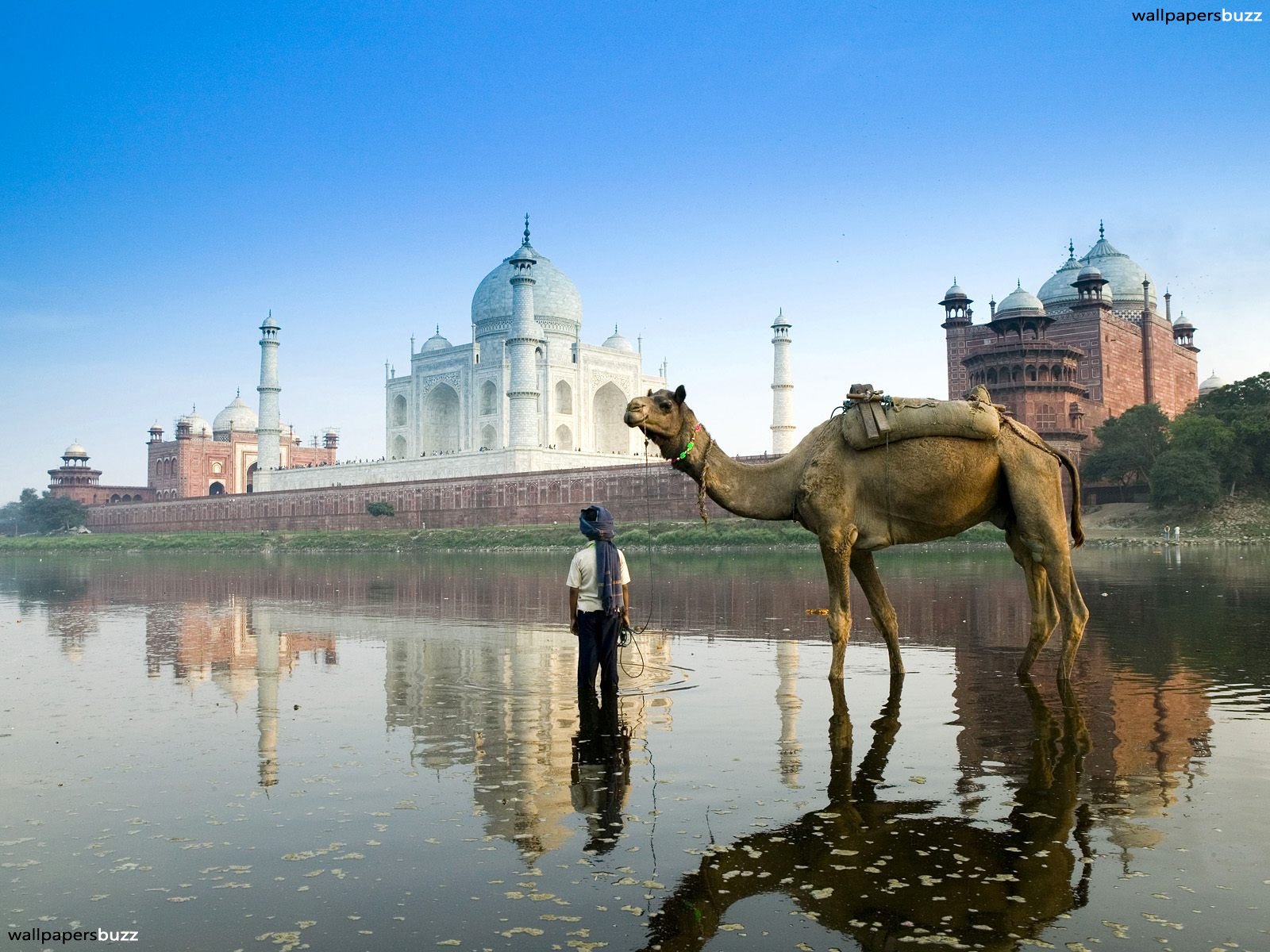 Hd Wallpaper Of India - HD Wallpaper 