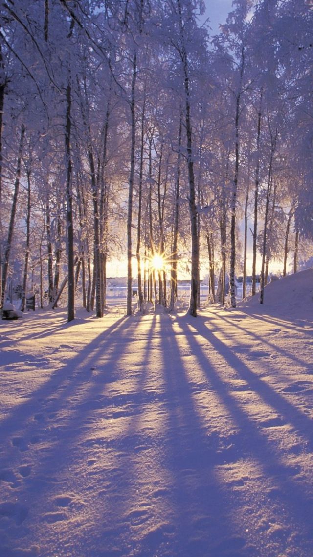 Winter Wallpaper Iphone - HD Wallpaper 