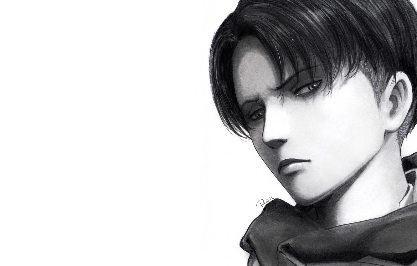 Photo Wallpaper Look, Art, White Background, Guy, Attack - Background Attack On Titan Levi - HD Wallpaper 