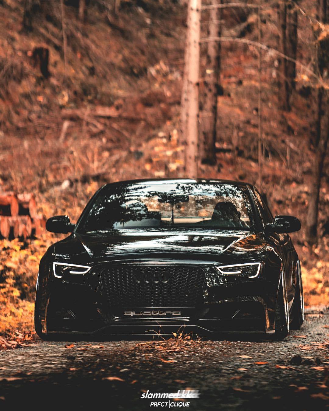 Image - Audi Rs5 In Autumn - HD Wallpaper 