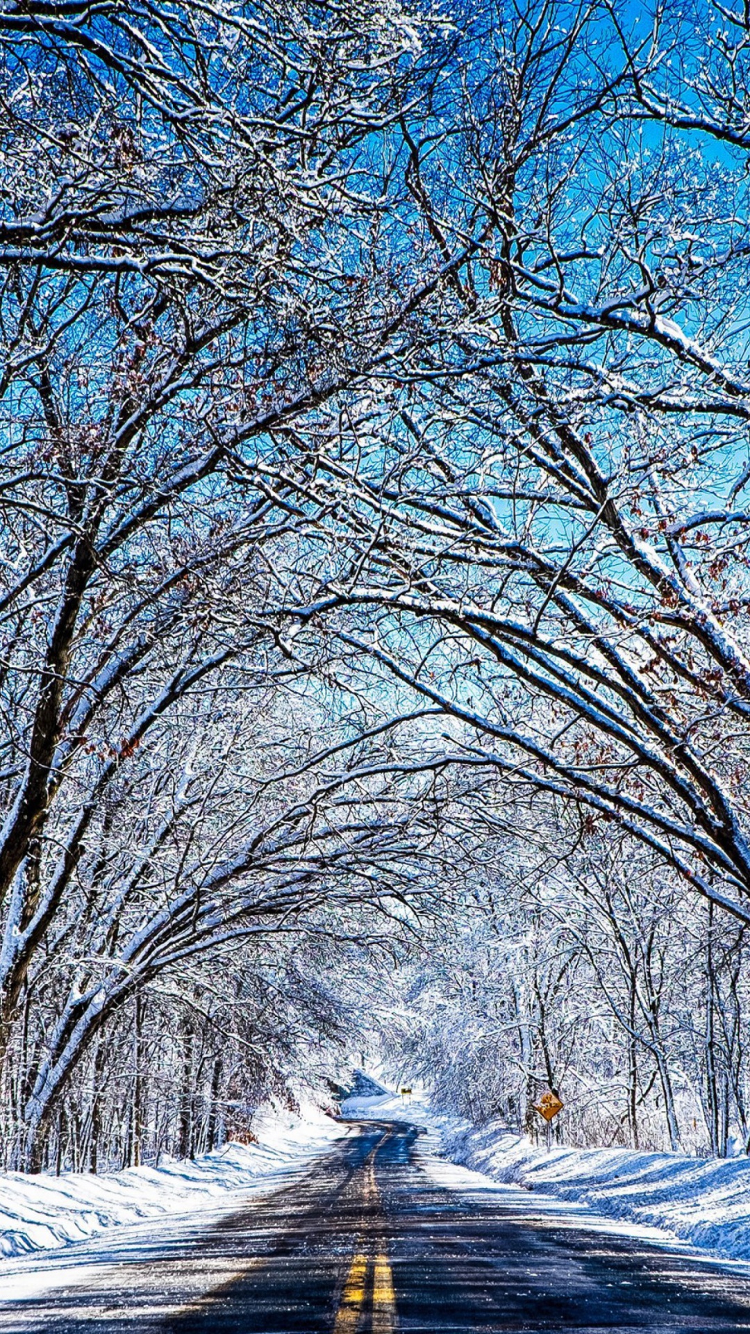 Road Tree Winter Desktop Backgrounds - Iphone 7 Wallpaper Hd Winter - HD Wallpaper 