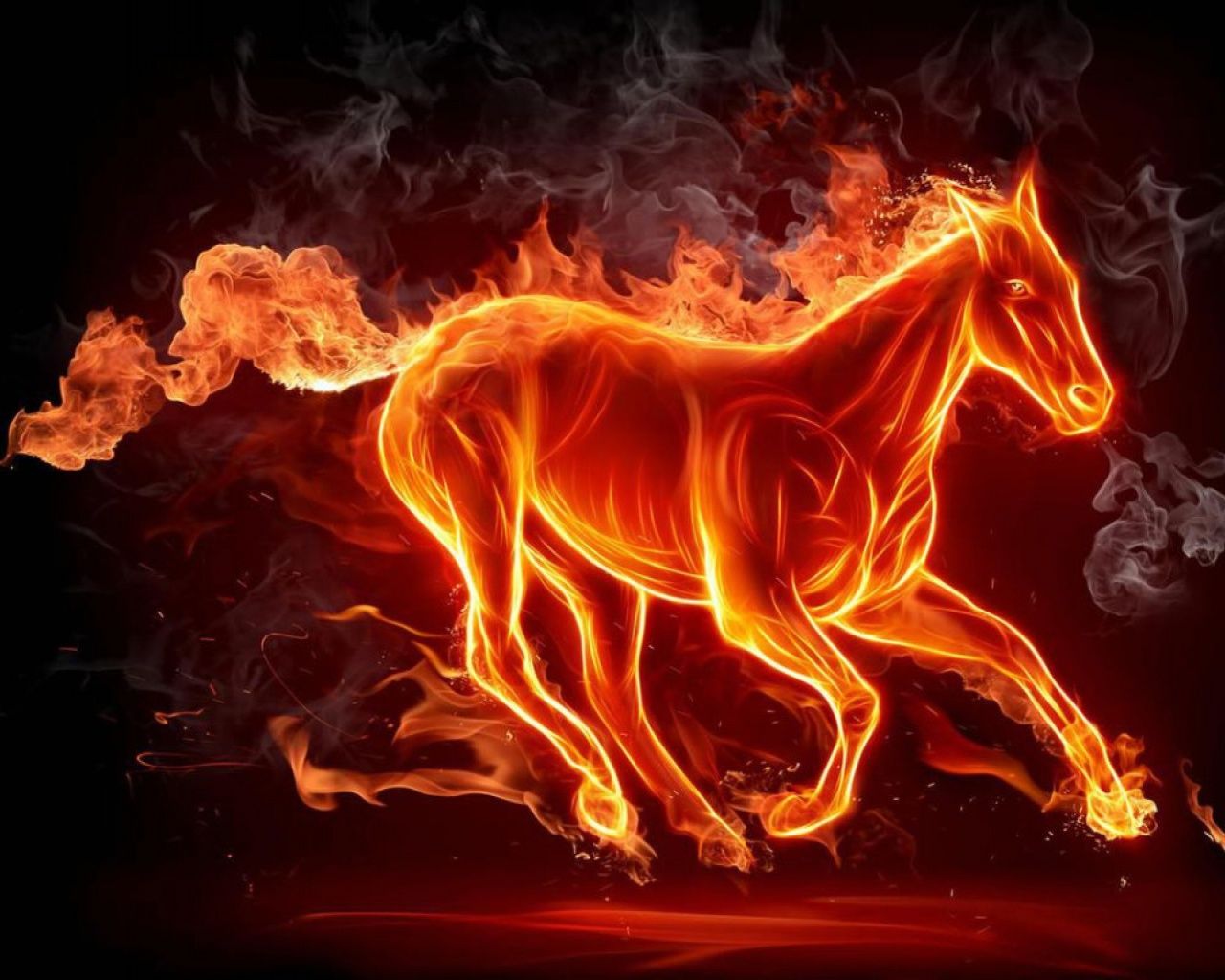 Hot Horse - HD Wallpaper 
