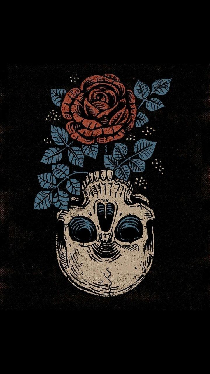 Skull Background Aesthetic Looking For The Best Skull Background Skull Background Aesthetic Looking For The Best Skull Background