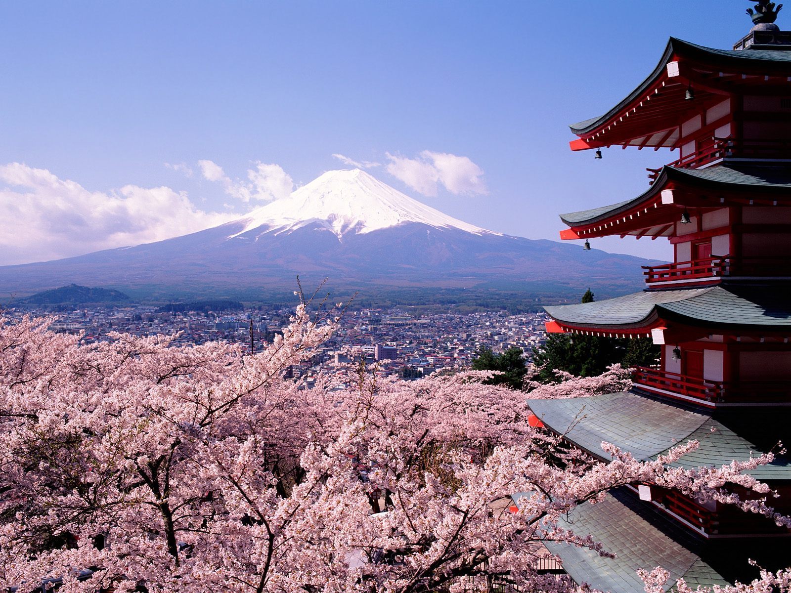 Spring In Japan Spring Wallpaper - Spring Wallpaper Japan - HD Wallpaper 